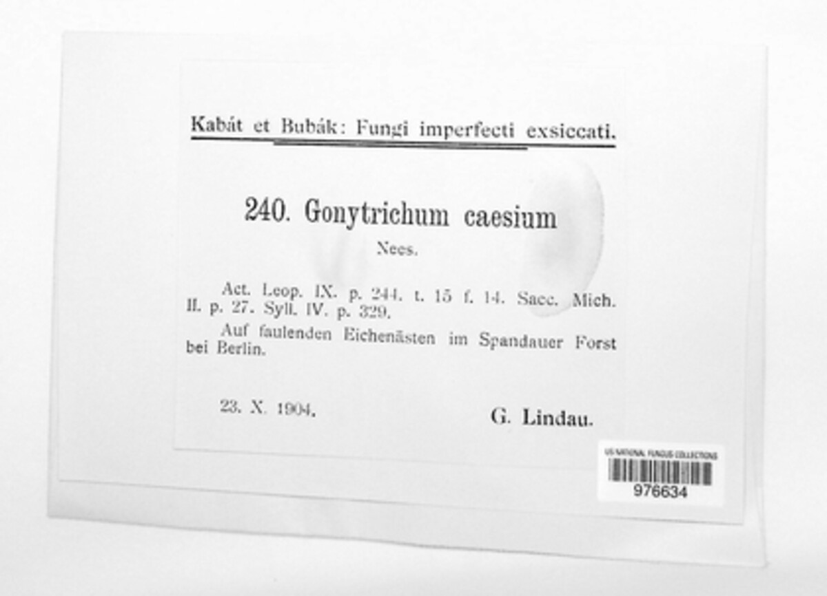 Chloridium caesium image
